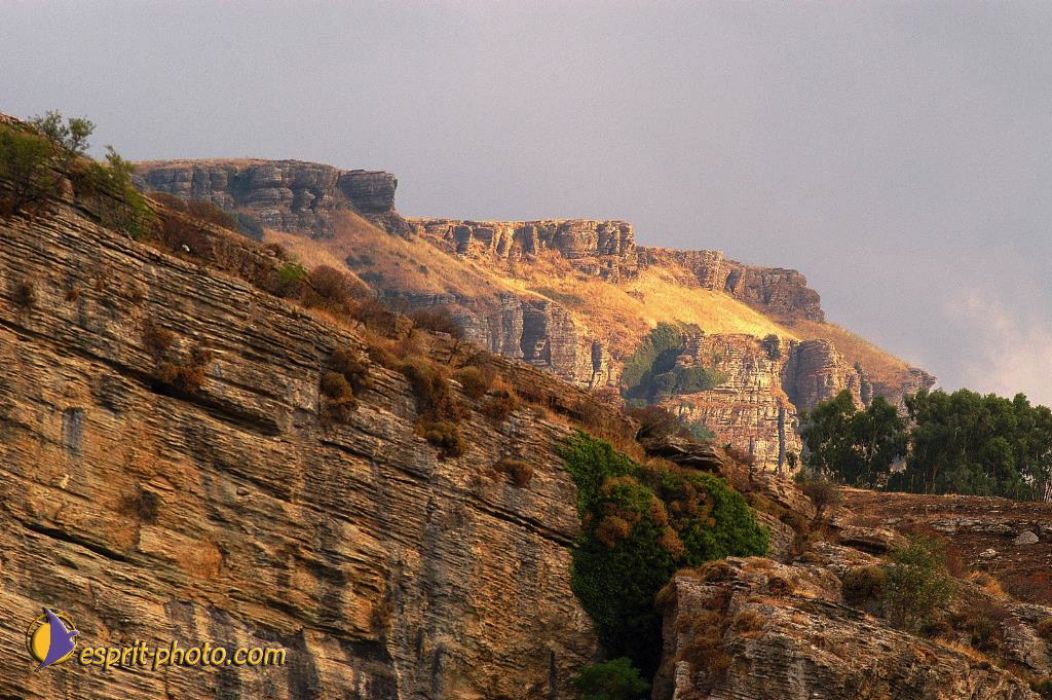 Nom de l'image : EP08-0408_(c)Norbert-JUNG — Description :